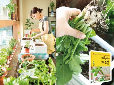 More Koreans Growing their Own Greens with Skyrocketing Vegetable Prices