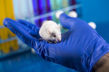 South Korean Researchers Develop Device for Humane Animal Testing
