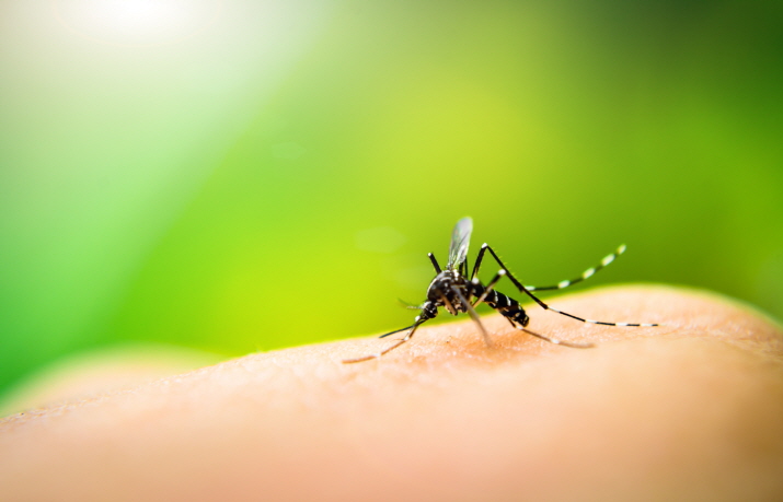 KDCA Introduces AI-powered System to Detect Disease-carrying Mosquitoes