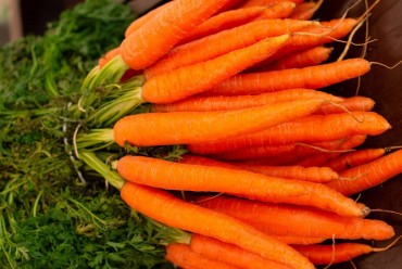 Researchers Detect Anti-Inflammatory Effect in Carrot Leaves