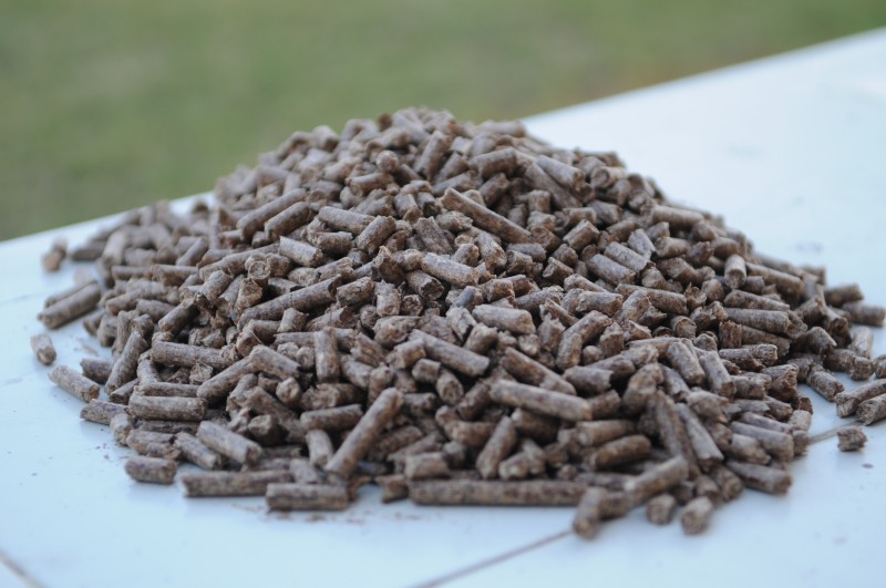 Meeting Booming Asian Pellet Demand: How Competitive Are Regional Players?