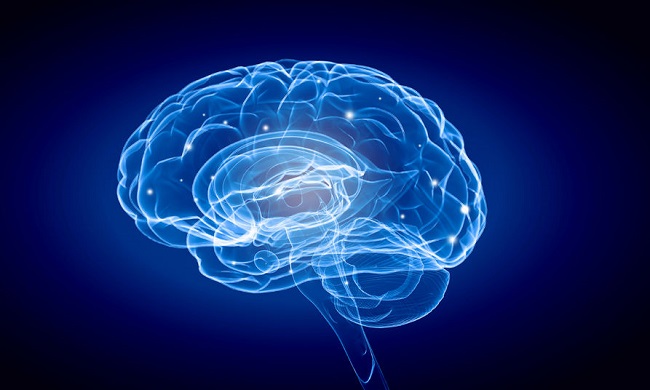 Supreme Court Permits Korean Medicine Doctors to Use Brain Wave Sensor