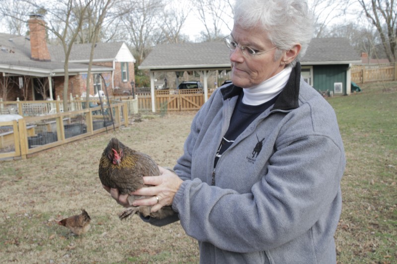 Chick Days Powers Backyard Farmers, Self-Reliance Movement