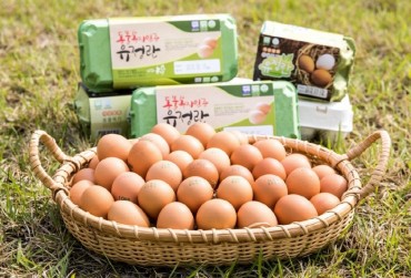 Egg Certification Initiative Lacks Sufficient Publicity