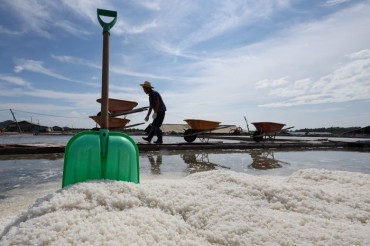 Iconic Gongsaeng Salt Field Shines Amid Contaminated Water Concerns and Historic Legacy