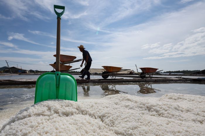 Iconic Gongsaeng Salt Field Shines Amid Contaminated Water Concerns and Historic Legacy