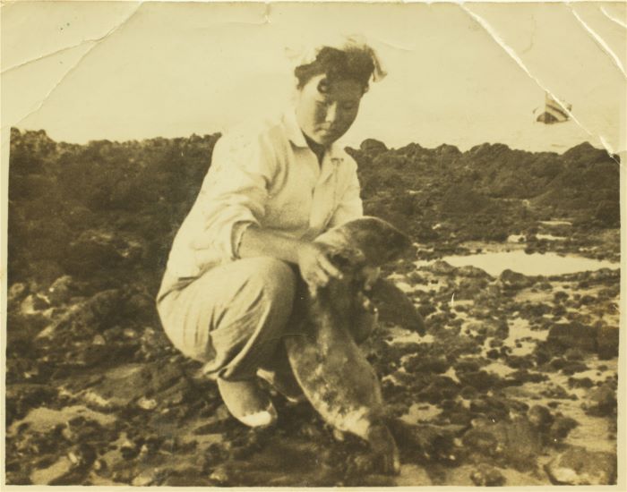 Kim Gong-ja Haenyeo and a sea lion cub. The Dokdo Gangchi, or Sea Lions in Dokdo, were indiscriminately hunted by the Japanese during the Japanese occupation of Korea, causing their population to plummet. In 1904, there was a mass capture of more than 3,200 in a single year. (Dokdo, late 1950s). (Photo: Courtesy of Gyeongbuk Province)