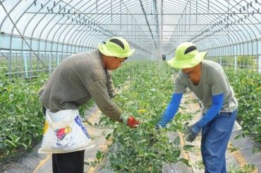 S. Korea Seeks to Extend Foreign Workers’ Stay Permits to Cope with Seasonal Labor Shortage