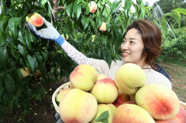 Peaches, Onions Top Cash Crops: Study