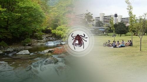 Rising Threats of Tick and Rat-Transmitted Diseases, Bee Stings, and Snake Bites During Chuseok Holidays
