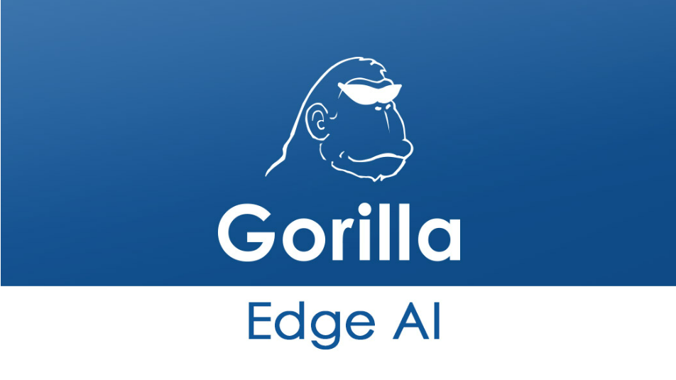 Gorilla provides a wide range of solutions, including, Smart City, Network, Video, Security Convergence and IoT across select verticals of Government & Public Services, Manufacturing, Telecom, Retail, Transportation & Logistics, Healthcare and Education.