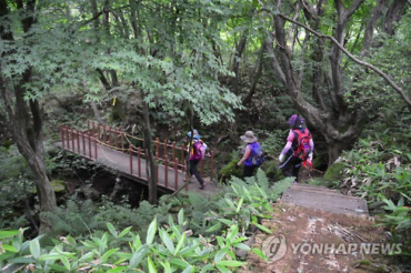 Halla Eco-Forest in Jeju Emerging as Must-go Travel Destination