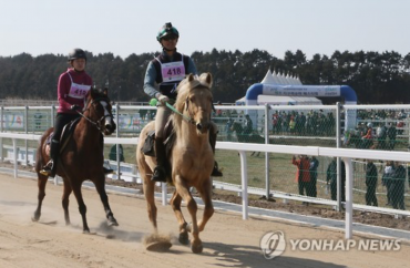 Jeju Hosts Horse-Riding Marathon